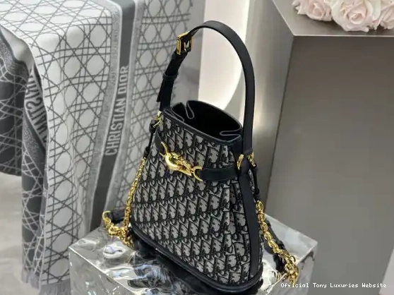Tony Luxuries Bag-24*24.5*10CM diro C'est Medium 0603
